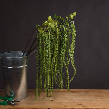 Green Amaranthus - £21.95 - Artificial Flowers 