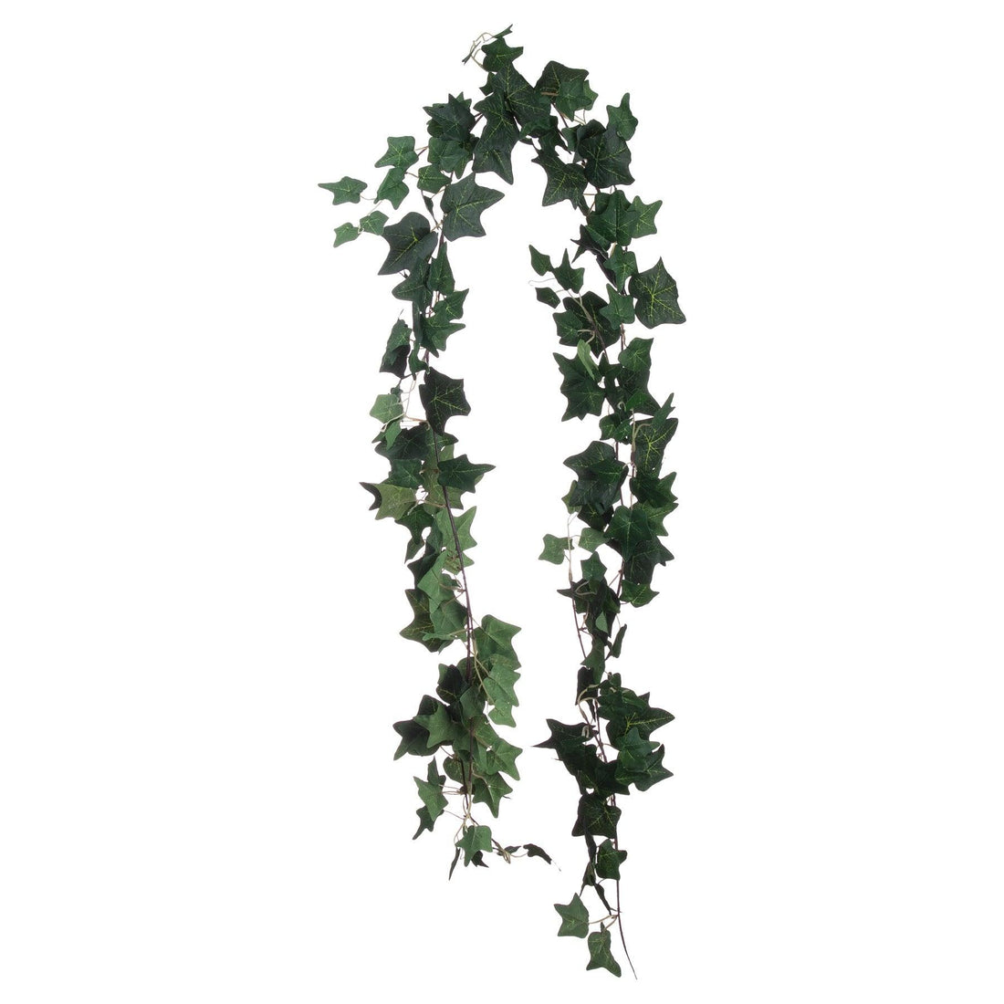 Ivy Garland - £21.95 - Gifts & Accessories > Christmas Decorations > Christmas Wreaths & Garlands 