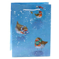 Jan Pashley Robin Christmas Medium Gift Bag-