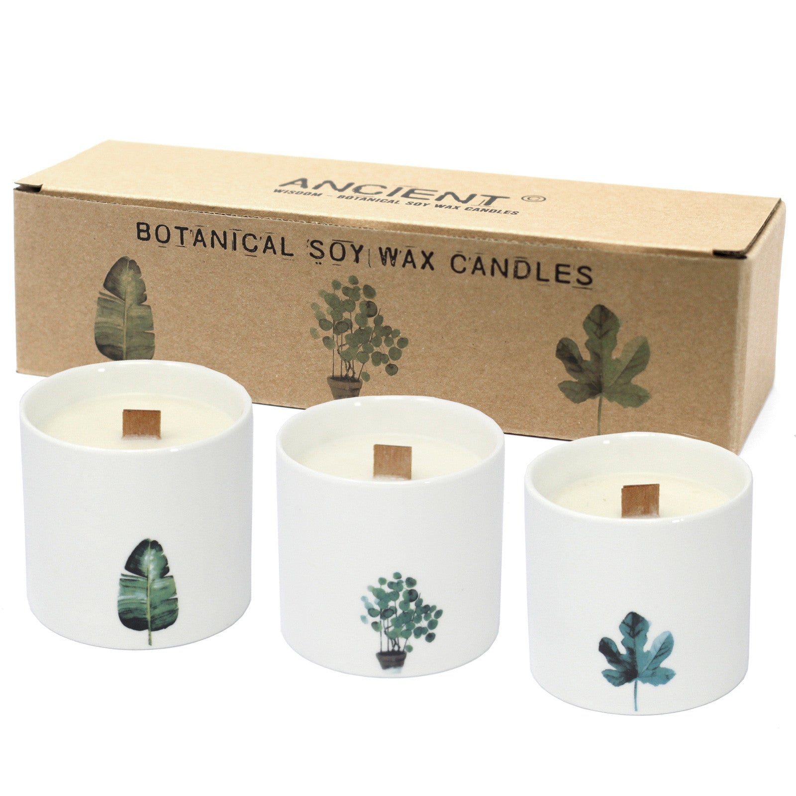 Large Botanical Candles - Marsh Viola - £42.0 - 