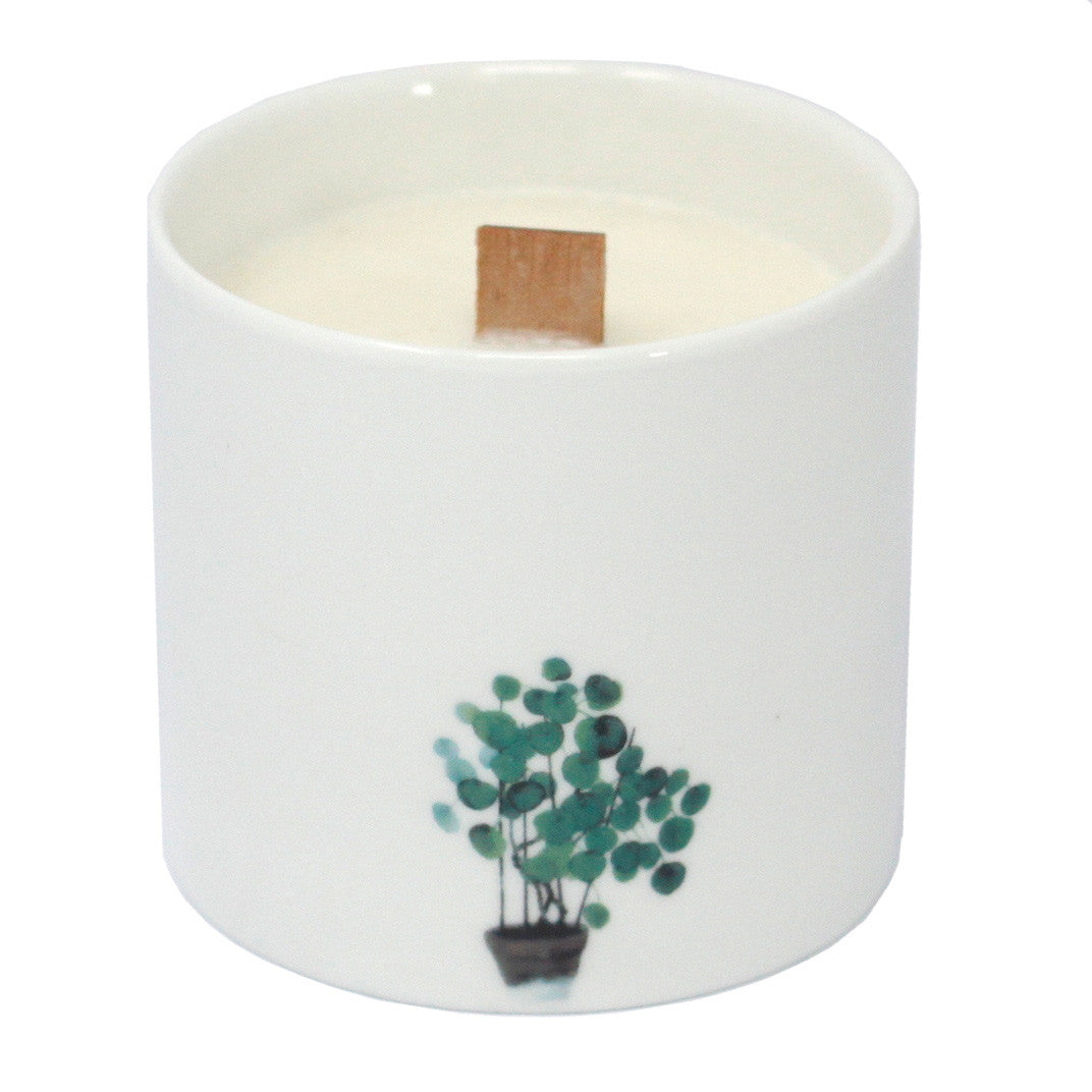 Large Botanical Candles - Wild Jasmine-