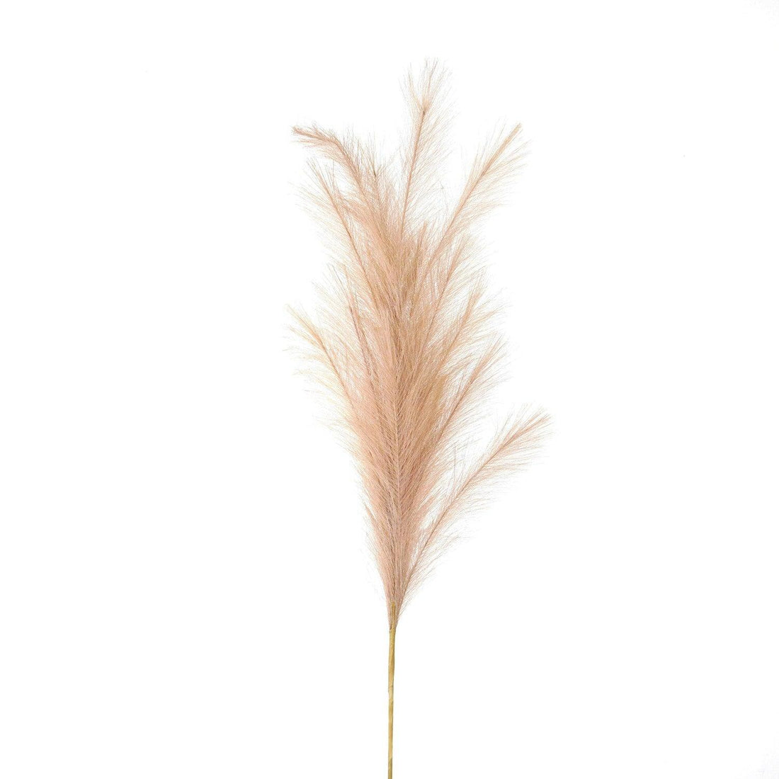 Large Faux Pampas Grass Stem - £21.95 - Artificial Flowers 