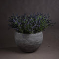 Large Lavender Bush - £21.95 - Artificial Flowers 