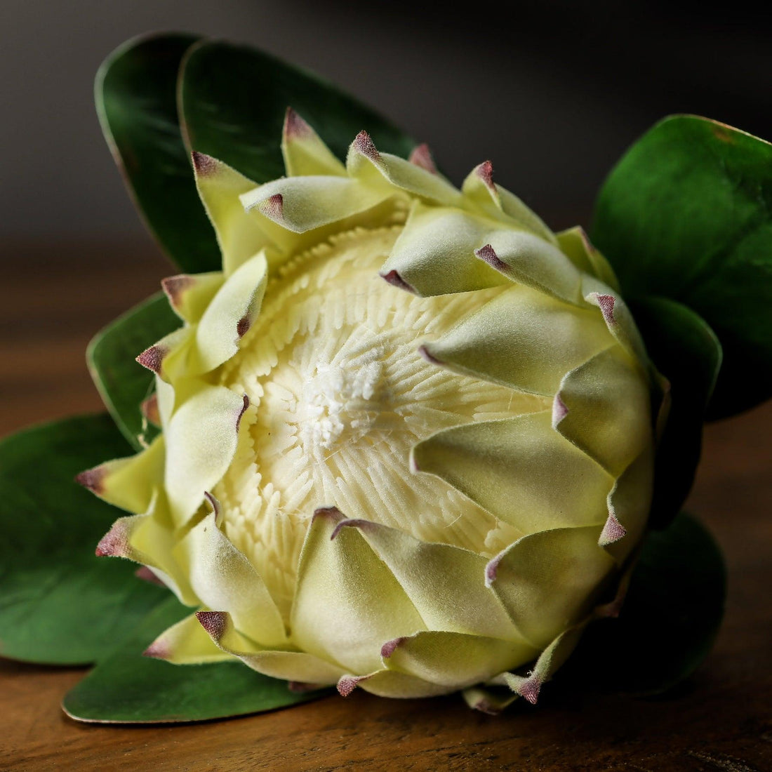 Large White Protea - £29.95 - Artificial Flowers 