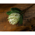 Large White Protea-Artificial Flowers