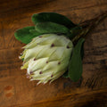 Large White Protea-Artificial Flowers