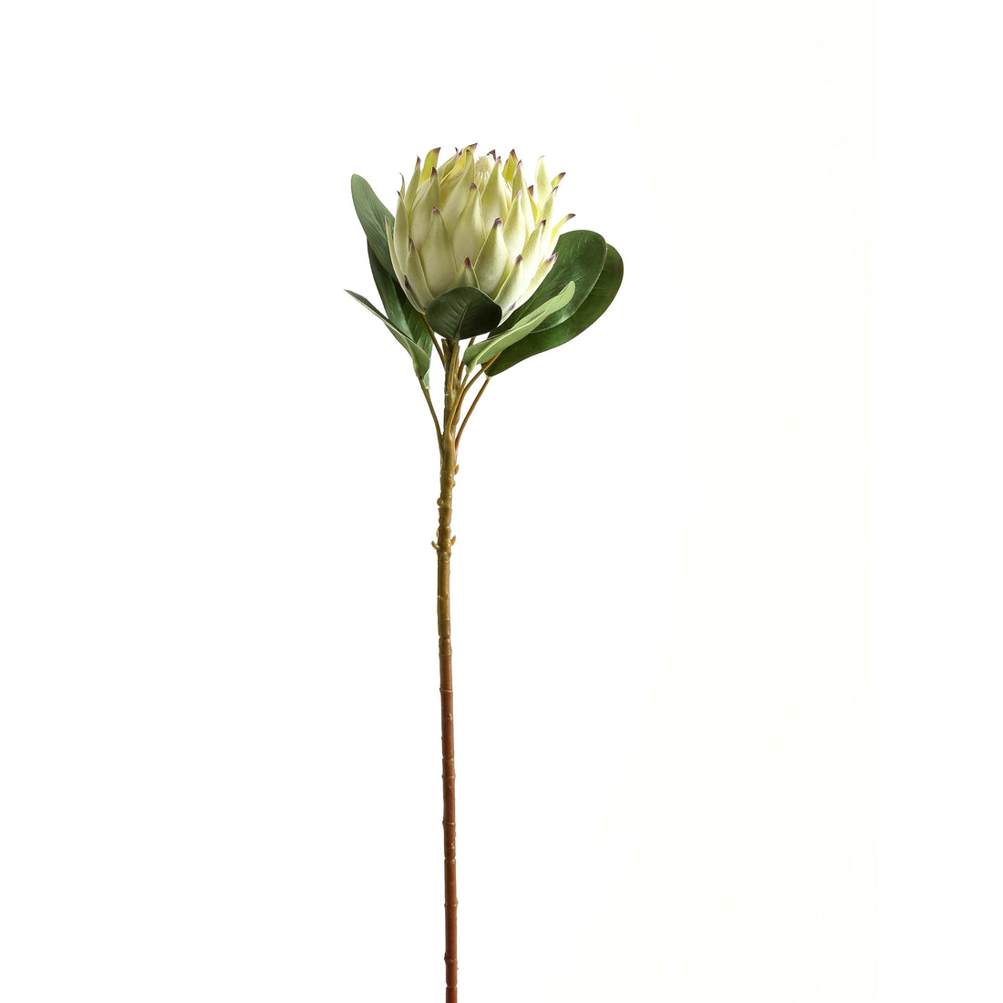 Large White Protea - £29.95 - Artificial Flowers 