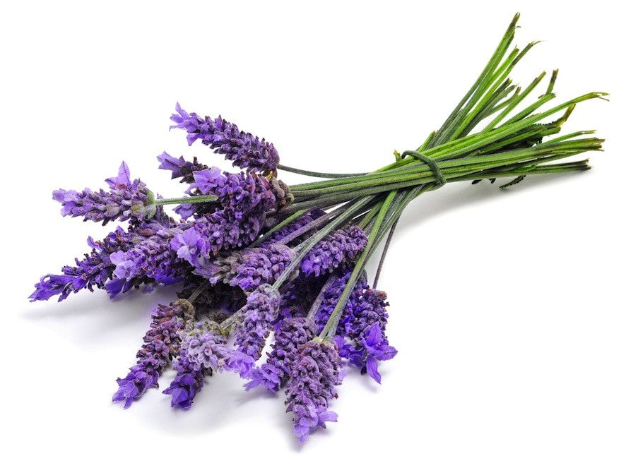 Lavender & Rosemary - Argan Solid Shampoo Loaf-