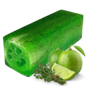 Loofah Soap Loaf - Lime & Thyme Toughy - £54.0 - 