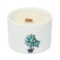 Med Botanical Candles - Lemon Honeysuckle-