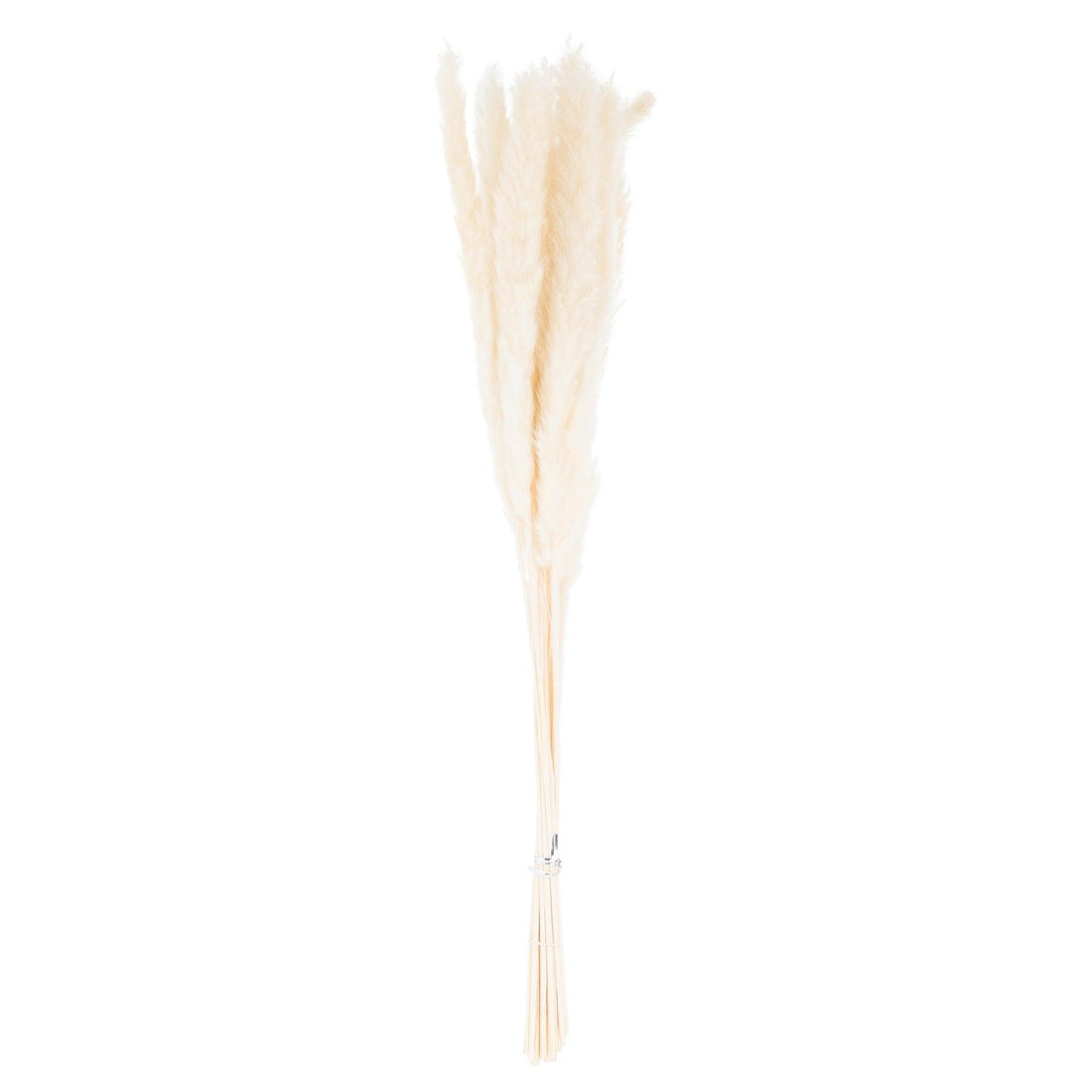 Mini White Pampas Grass Bunch Of 15 - £23.95 - Artificial Flowers 