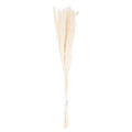 Mini White Pampas Grass Bunch Of 15-Artificial Flowers