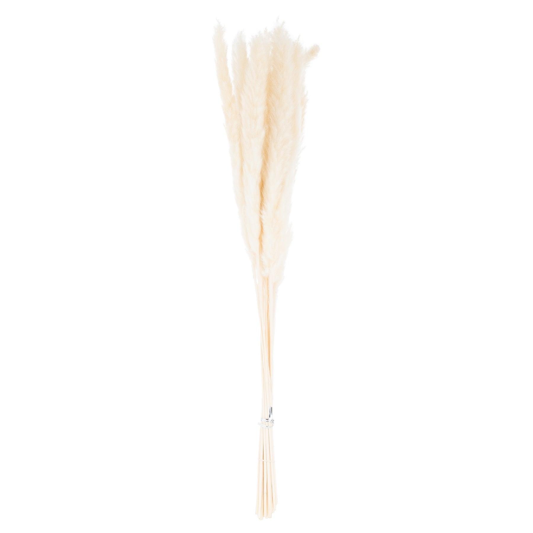 Mini White Pampas Grass Bunch Of 15-Artificial Flowers