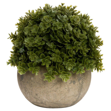 Miniature Hebe Veronica In Pot - £19.95 - Artificial Flowers 