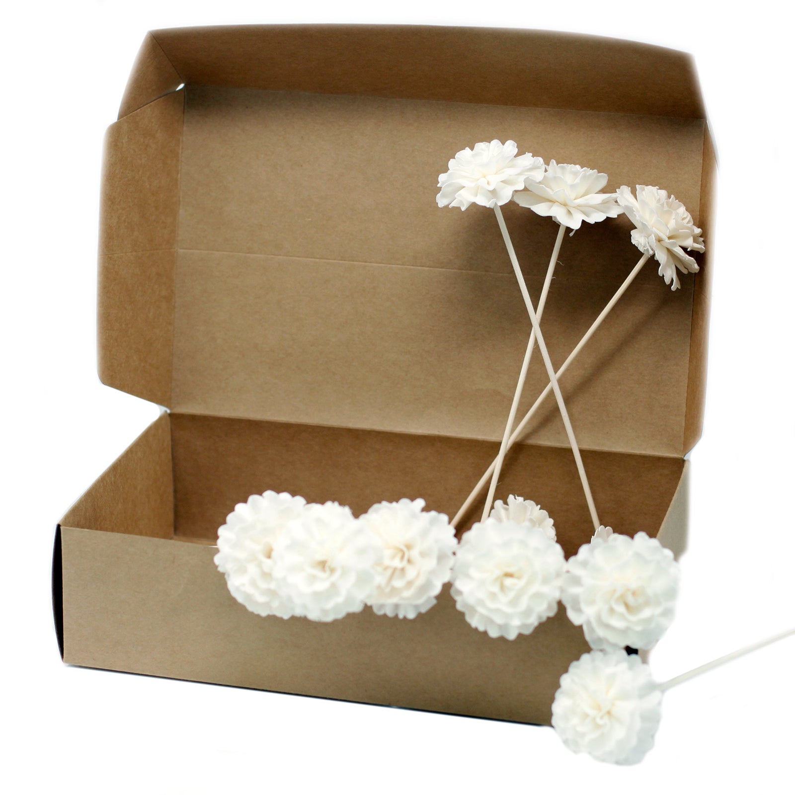 Natural Diffuser Flowers - Carnation on Reed - £36.0 - 