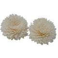 Natural Diffuser Flowers - Lrg Carnation on String-