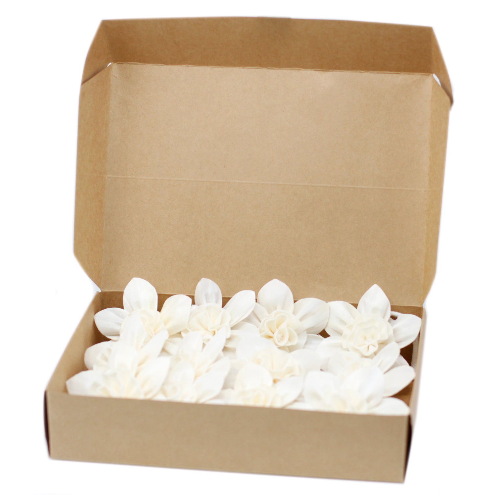 Natural Diffuser Flowers - Lrg Lily on String - £39.82 - 