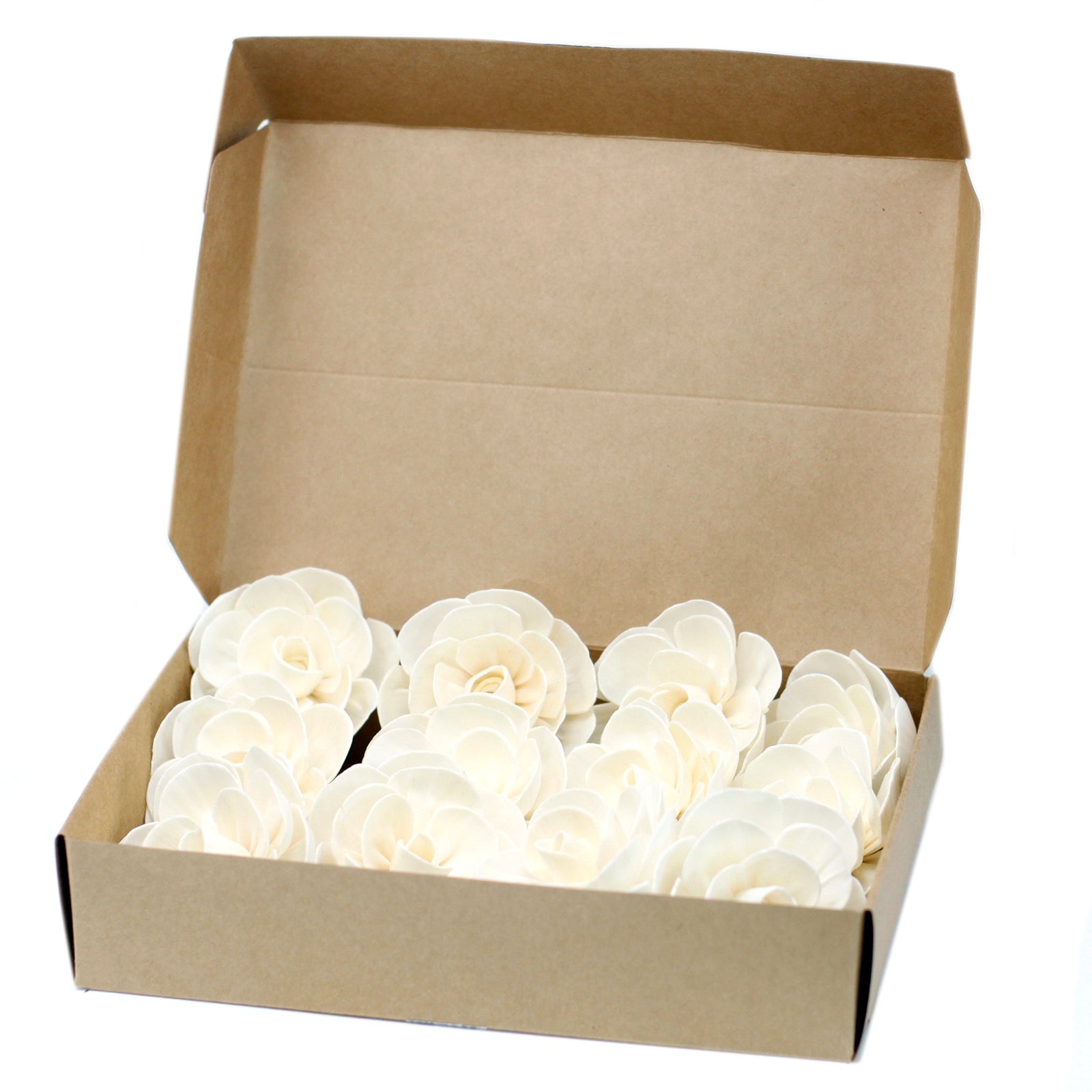 Natural Diffuser Flowers - Lrg Lotus on String - £39.82 - 