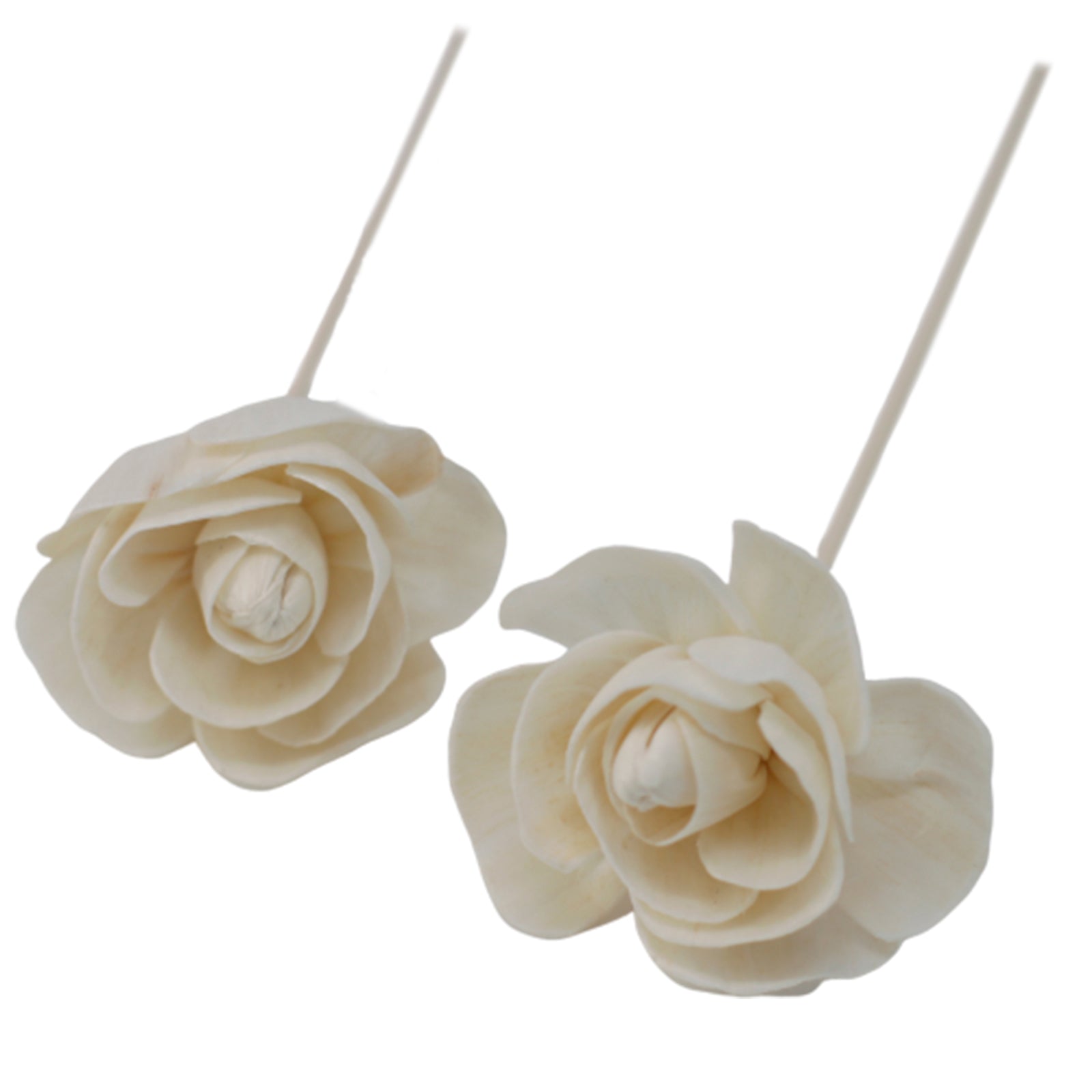 Natural Diffuser Flowers - Rose on Reed-