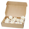 Natural Diffuser Flowers - Small Lily on String - £37.0 - 