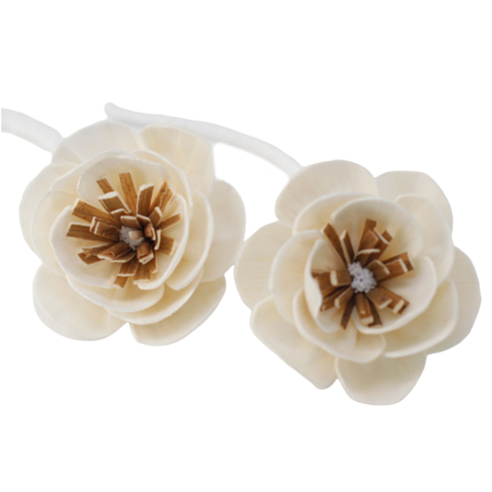 Natural Diffuser Flowers - Small Poppy on String-