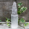 Natural Selenite Tower - 20 cm - £37.0 - 