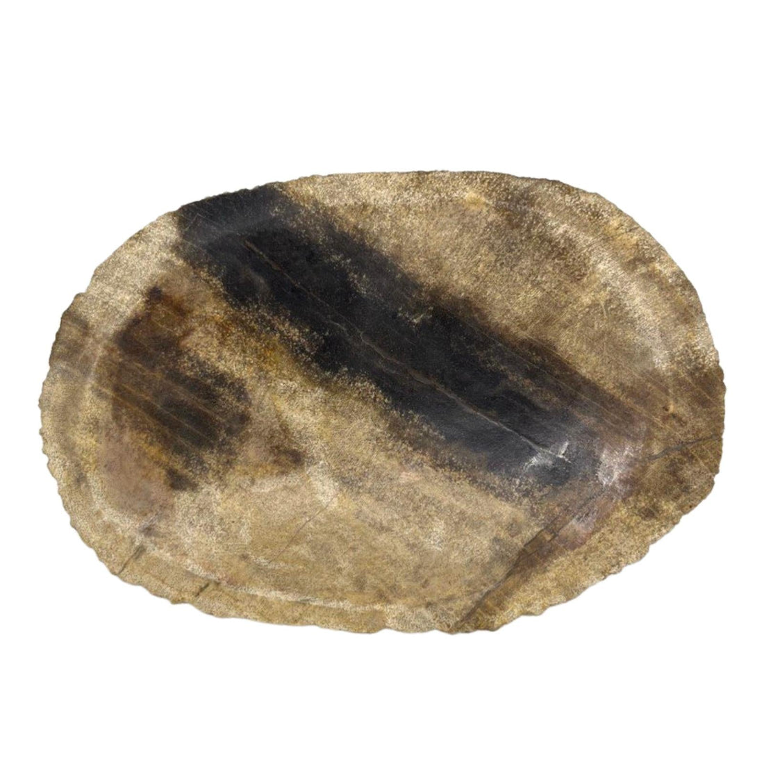 Petrified Wood Black Soap Dish - £39.0 - 