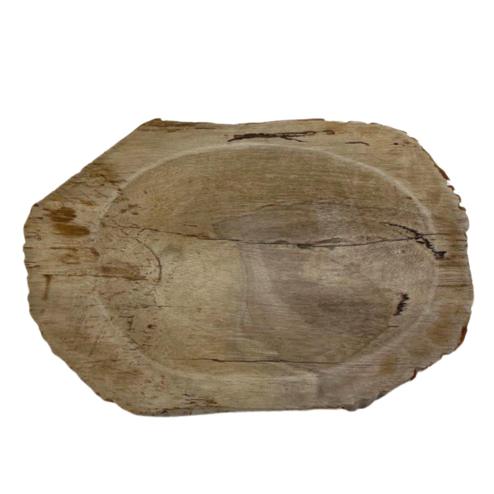 Petrified Wood Brown Soap Dish-