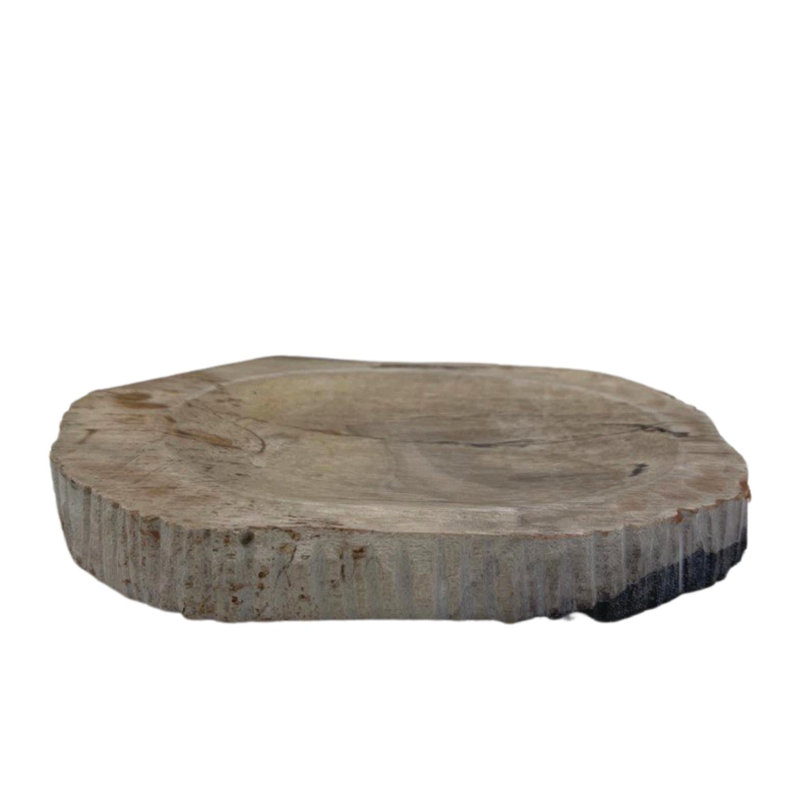 Petrified Wood Brown Soap Dish - £39.0 - 