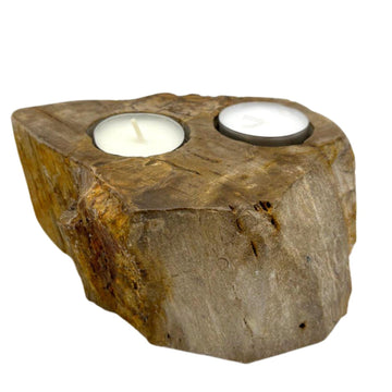 Petrified Wood Candle Holder - Double - £54.0 - 