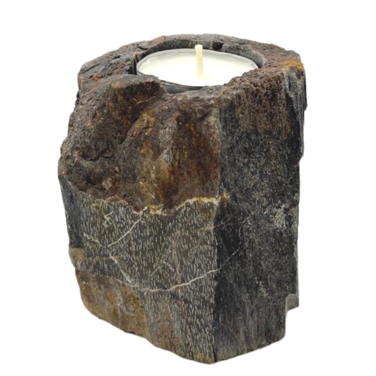 Petrified Wood Candle Holder - Single Low-