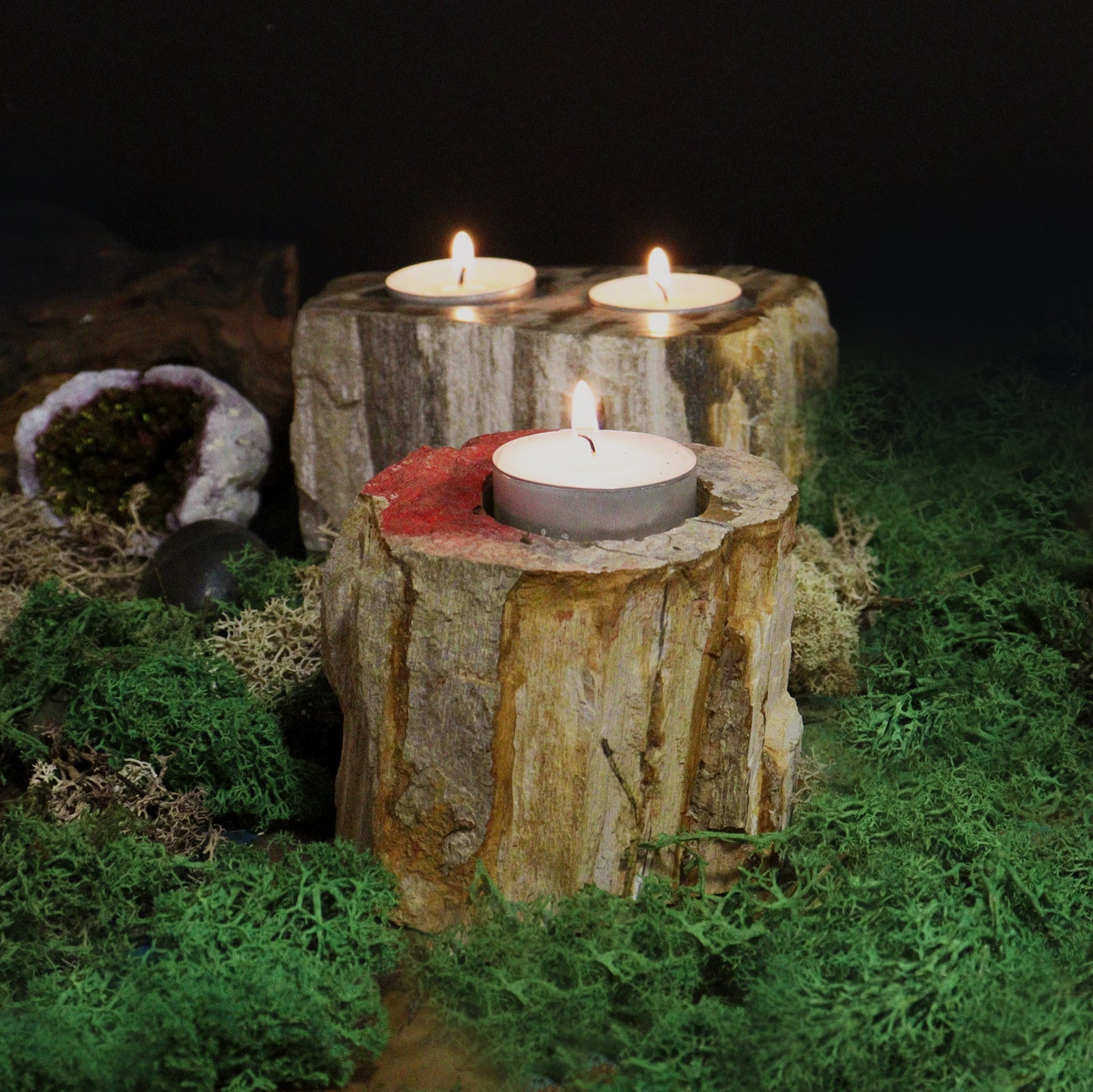 Petrified Wood Candle Holder - Single Low-