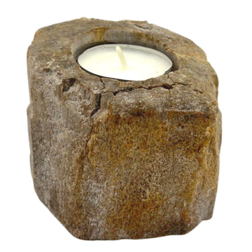 Petrified Wood Candle Holder - Single Low - £37.0 - 