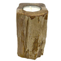 Petrified Wood Candle Holder - Single Tall-