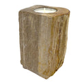 Petrified Wood Candle Holder - Single Tall-