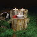 Petrified Wood Candle Holder - Single Tall-