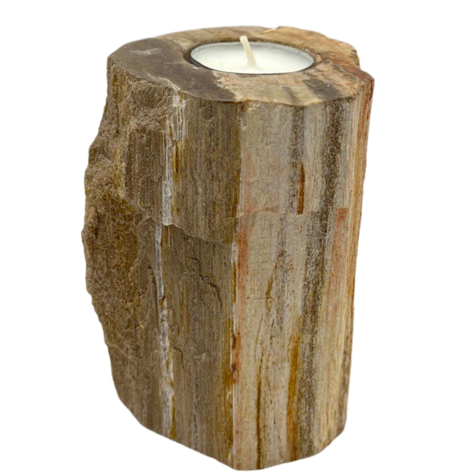 Petrified Wood Candle Holder - Single Tall - £37.0 - 