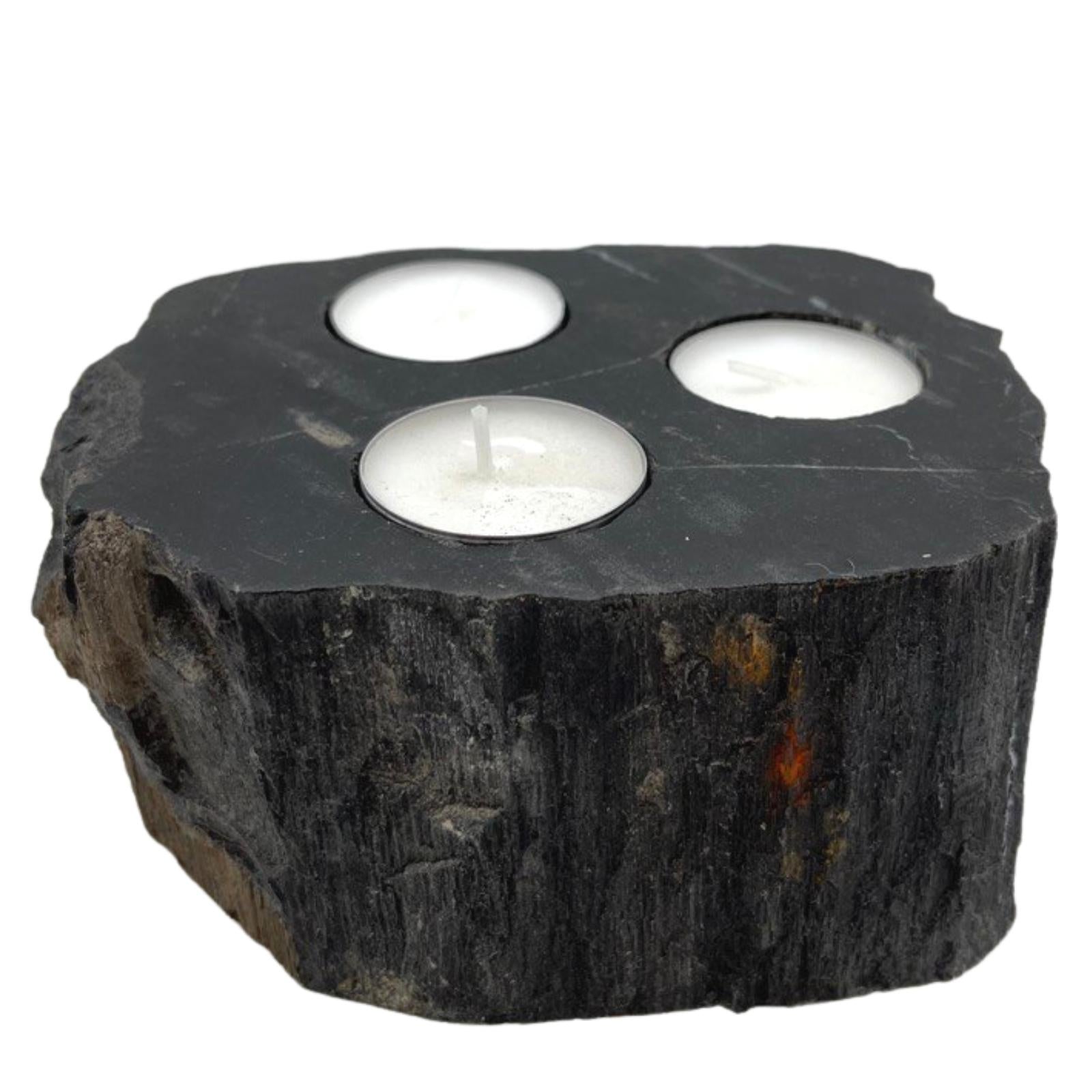 Petrified Wood Candle Holder - Triple-