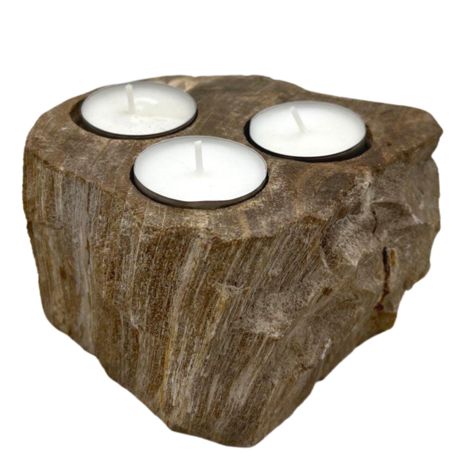 Petrified Wood Candle Holder - Triple-