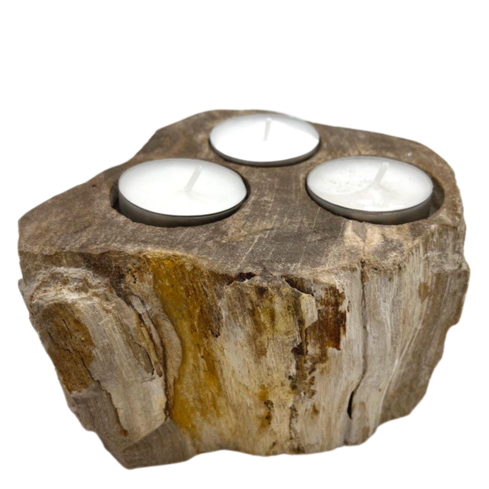 Petrified Wood Candle Holder - Triple - £54.0 - 