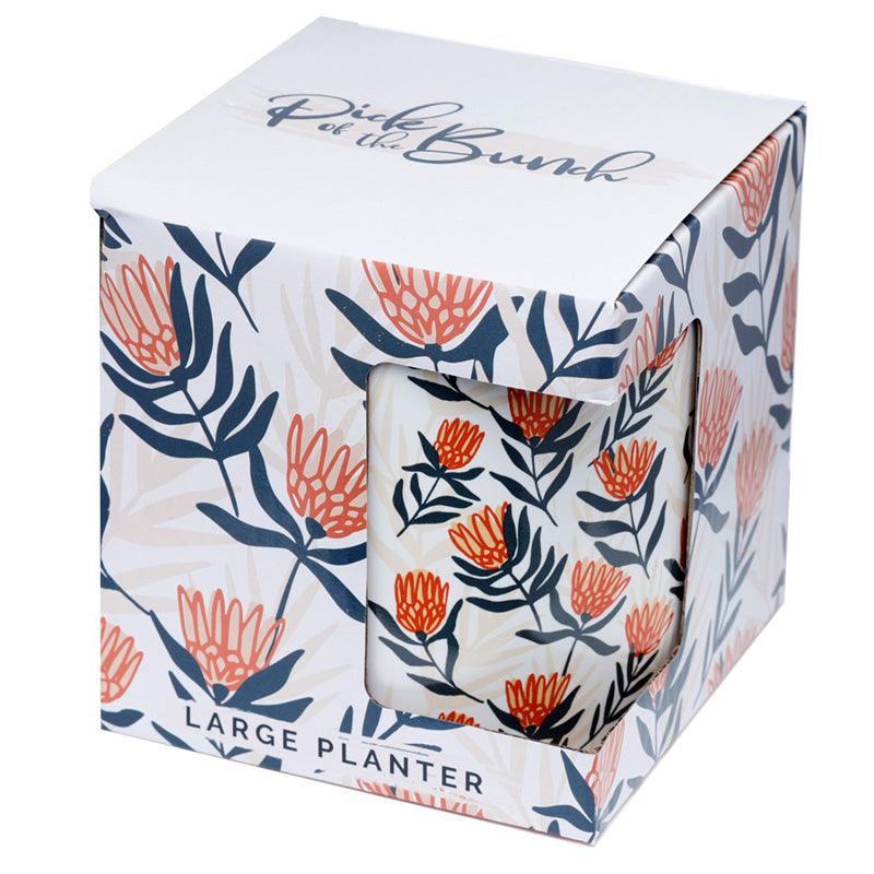 Protea Pick of the Bunch Ceramic Indoor Plant Pot - Large - £8.99 - 