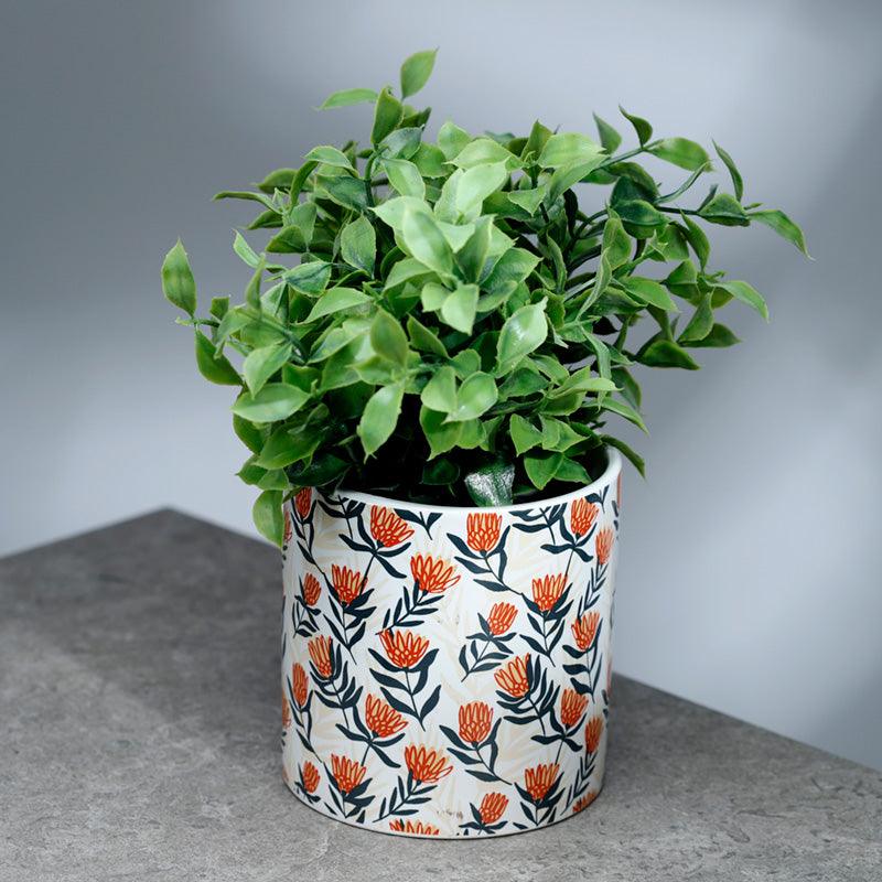 Protea Pick of the Bunch Ceramic Indoor Plant Pot - Large - £8.99 - 