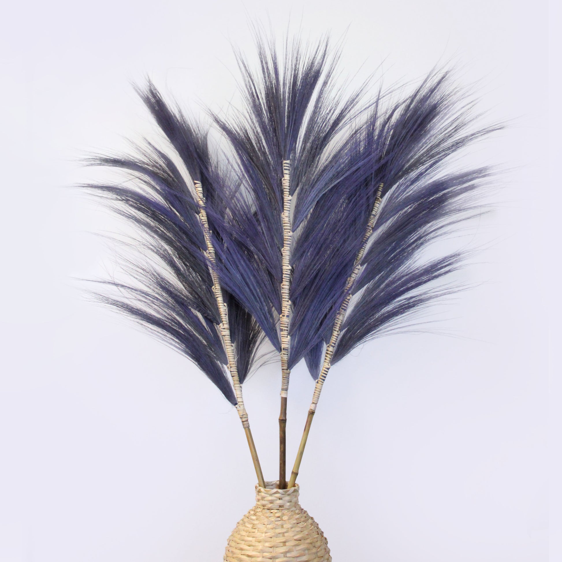 Rayung Grass Lavender- 1.6m - £45.0 - 