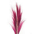 Rayung Grass Pink- 1.6m-