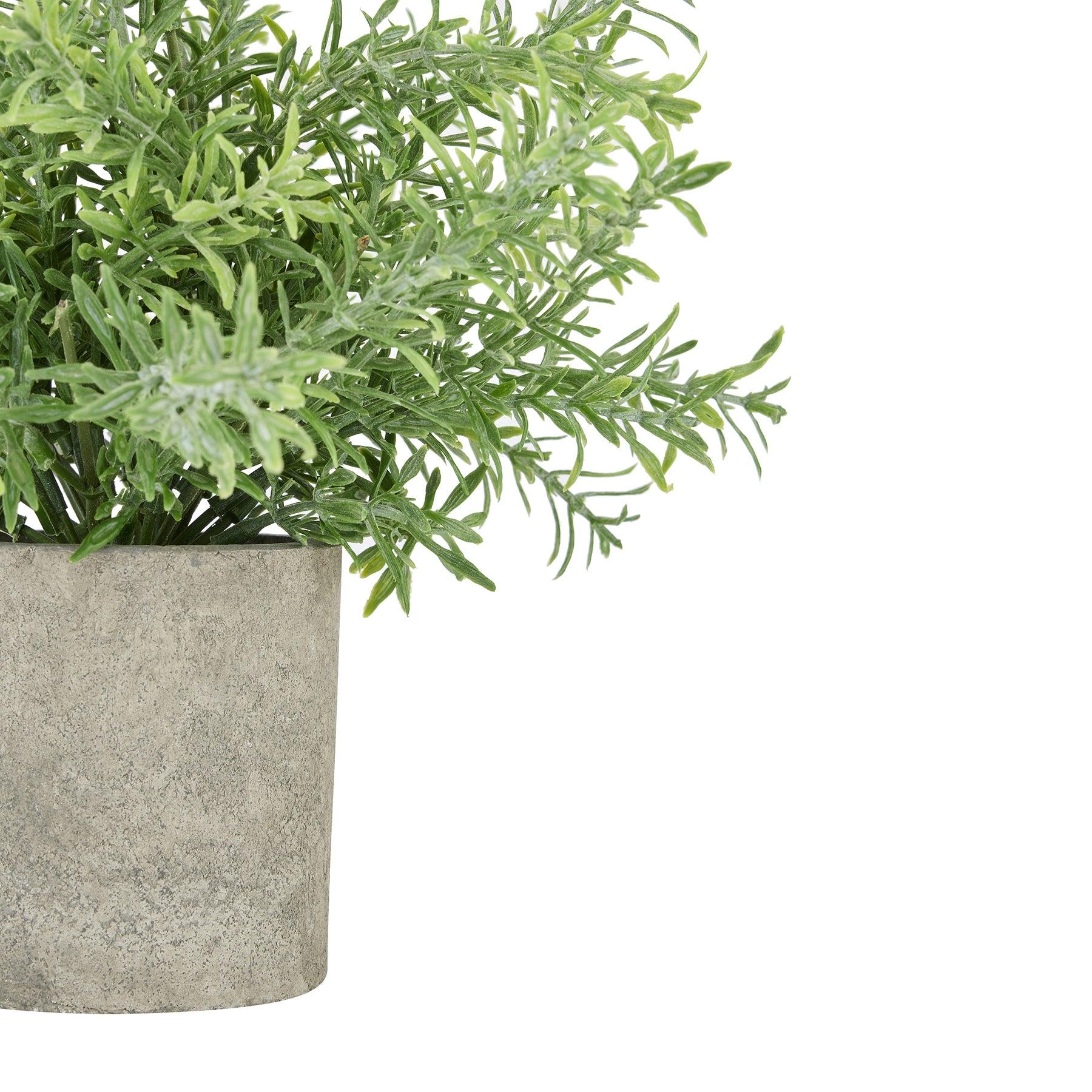 Rosemary Plant In Stone Effect Pot-Gifts & Accessories > All Artificial Potted Plants > Ornaments