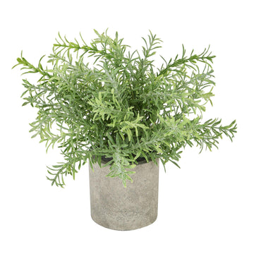 Rosemary Plant In Stone Effect Pot - £22.95 - Gifts & Accessories > All Artificial Potted Plants > Ornaments 