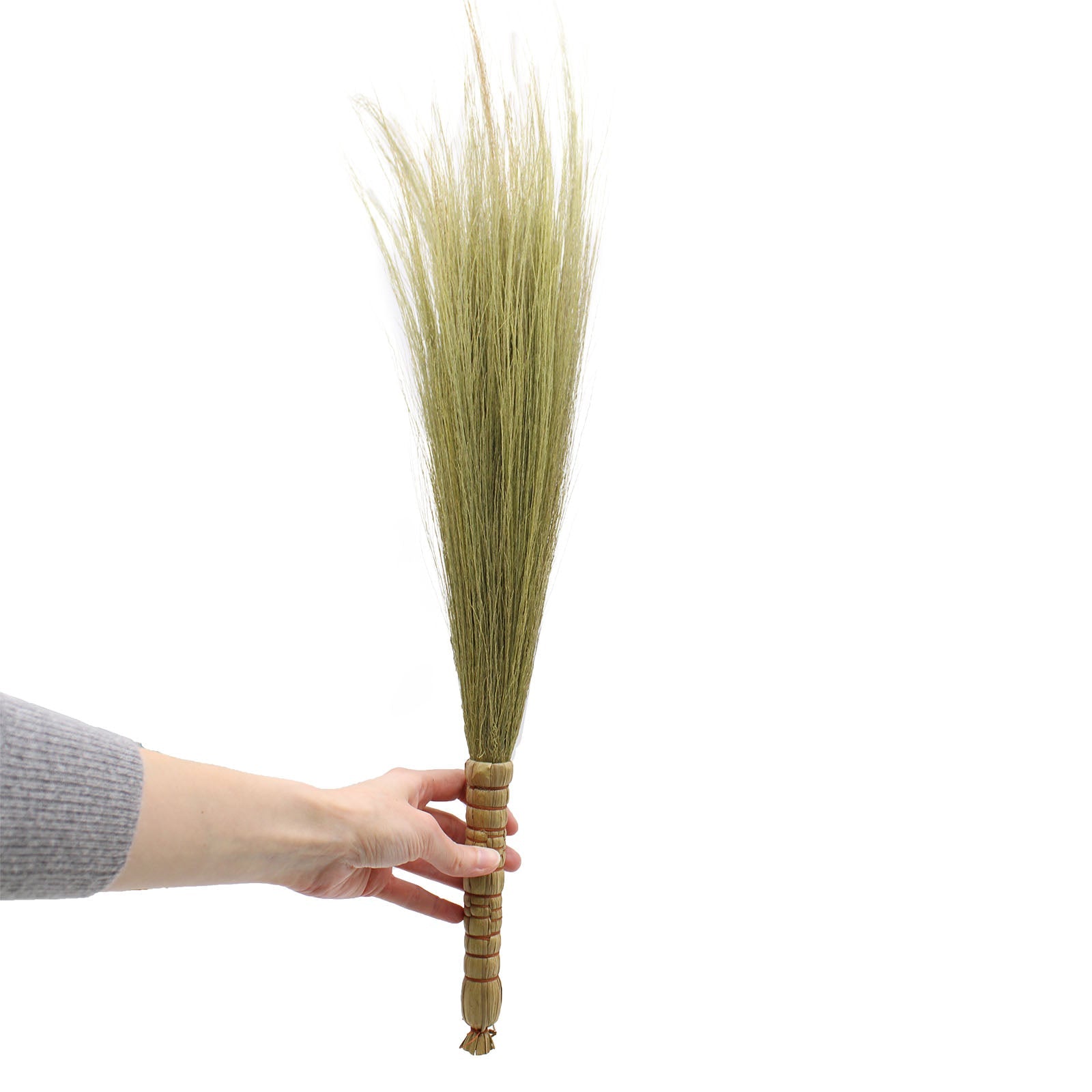 Set 4 - Pampas Broom - Natural-