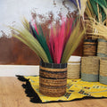 Set 4 - Pampas Broom - Natural-