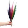 Set 4 - Pampas Broom - Rainbow Colours-