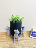 Set of Grey Dog Pot Risers - £37.99 - 